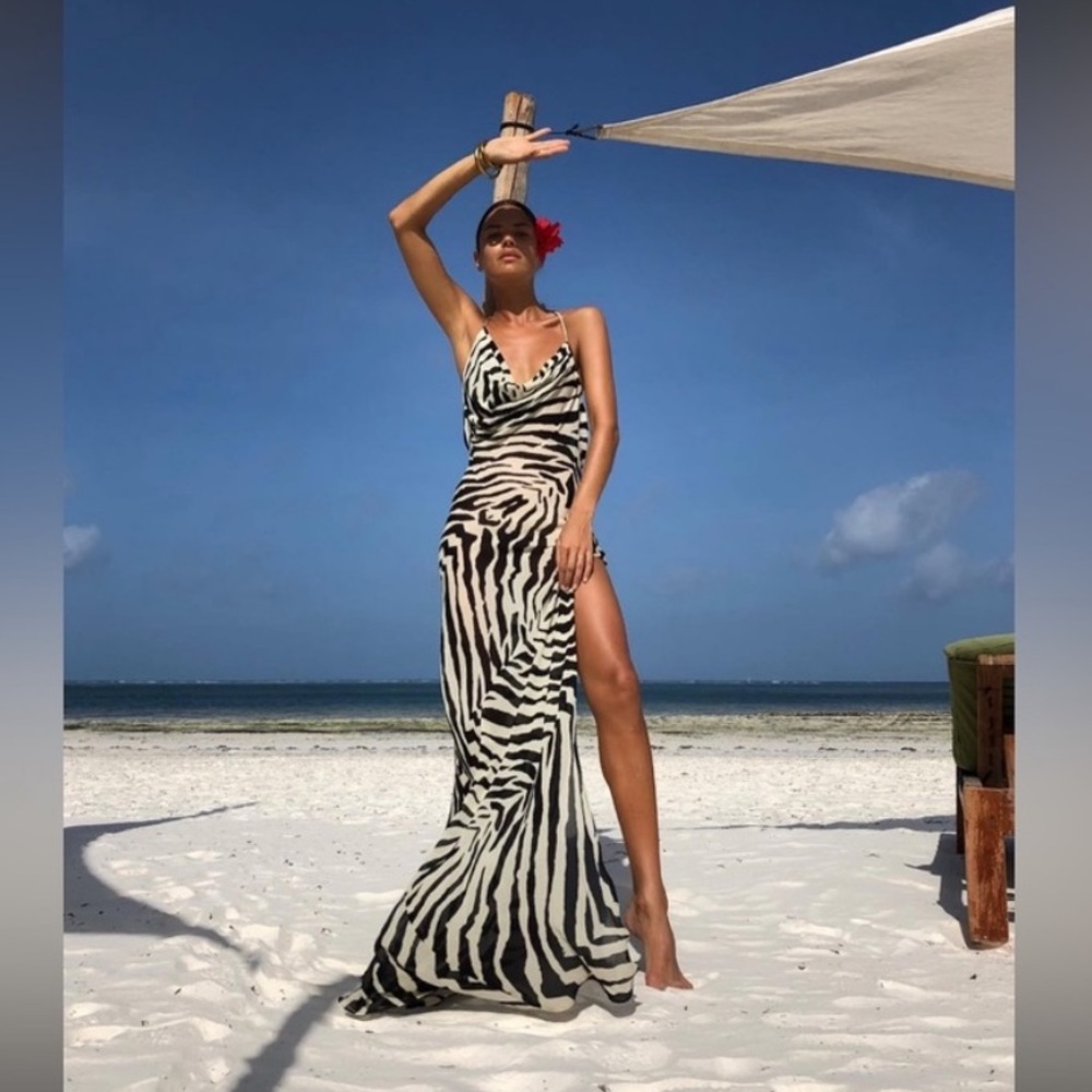 Rat & Boa Zebra Print Black and White Maxi Dress
